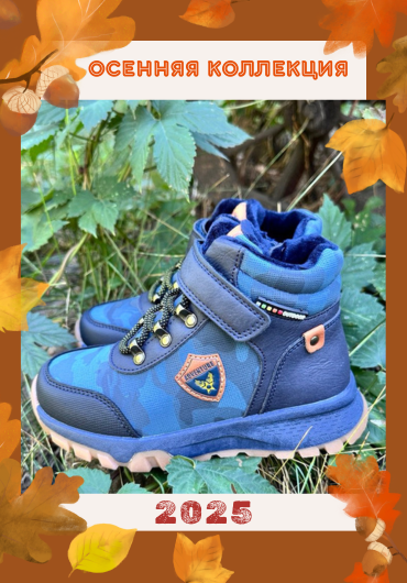 Новинки